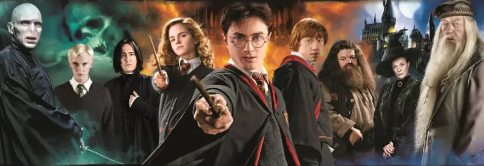 HARRY POTTER - PUZZLE COMPACT 1000 PIECES PANORAMA