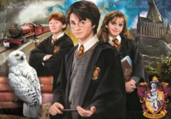 HARRY POTTER - PUZZLE COMPACT 1000 PIECES