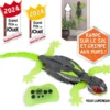 HEX BOTS - GECKO RADIOCOMMANDE