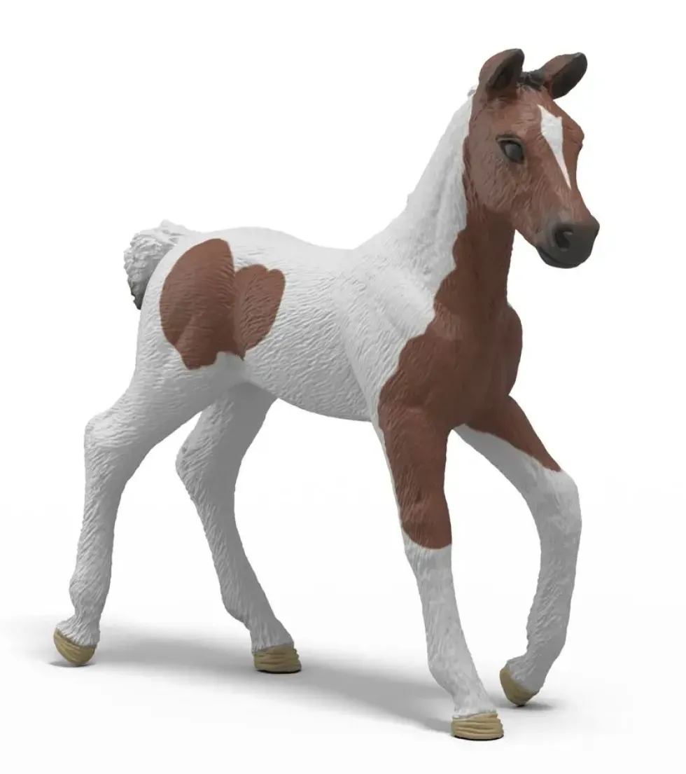 HORSE CLUB -CALENDRIER DE L'AVENT