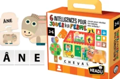 6 INTELLIGENCES POUR JOUER A LA FERME