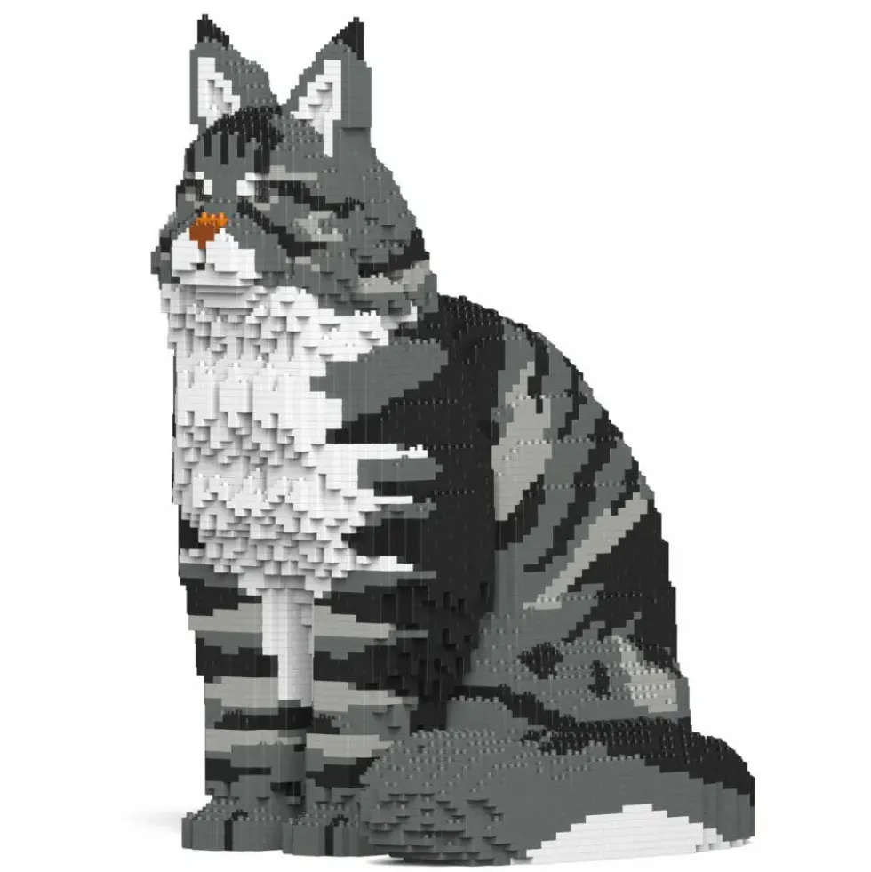JEKCA BLOCS DE CONSTRUCTION -CHAT MAINE COON GRIS ASSIS