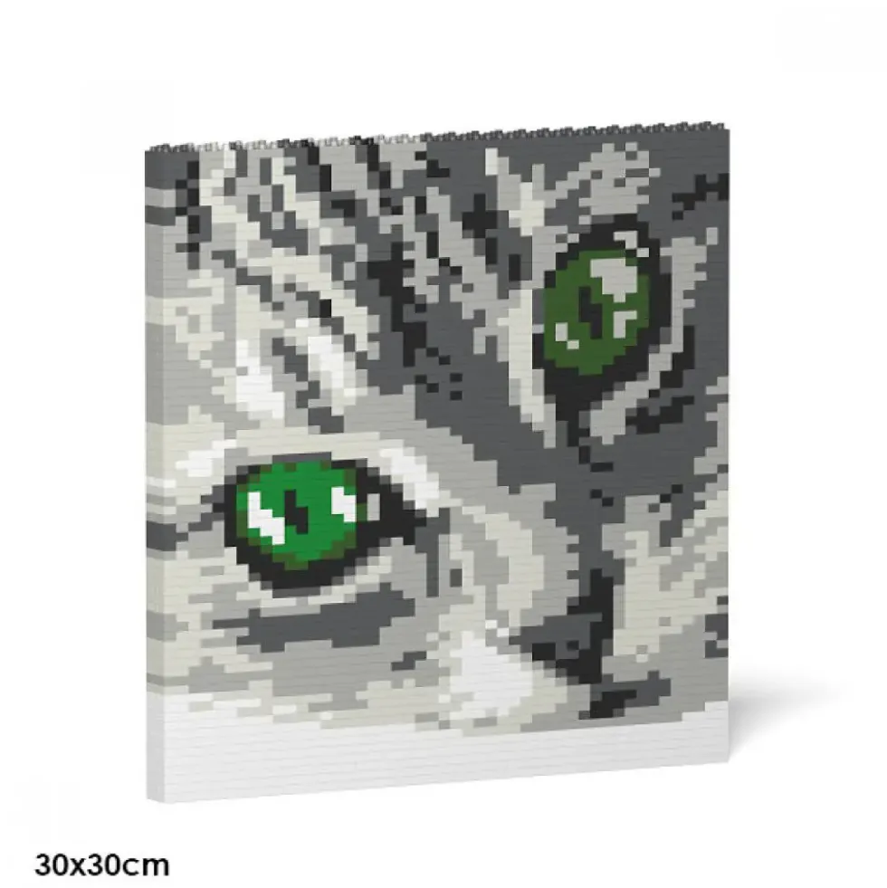 JEKCA BLOCS DE CONSTRUCTION -OEIL DE JEKCAT 2