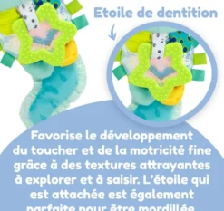 JEU D'EVEIL - ALISE L’AXOLOTL
