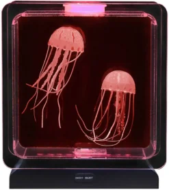 LAMPE MEDUSE