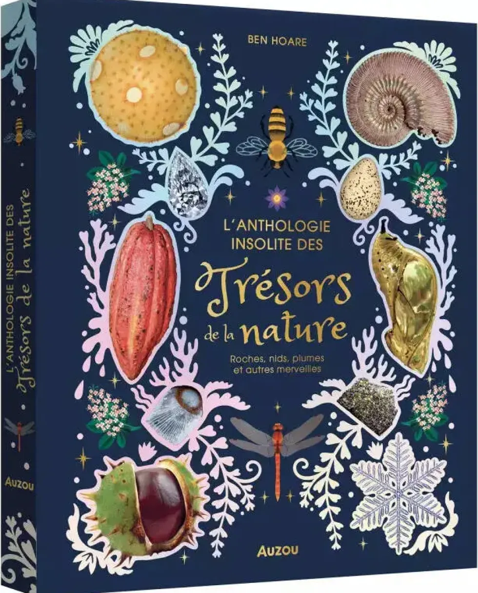 L'ANTHOLOGIE INSOLITE DES TRESORS DE LA NATURE : ROCHES, NID