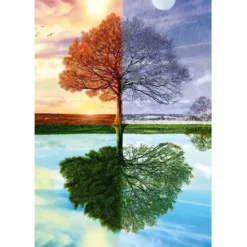 L'ARBRE DES QUATRE SAISONS, 500 PCS