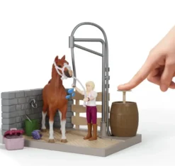 LAVAGE DE CHEVAUX DE SOFIA