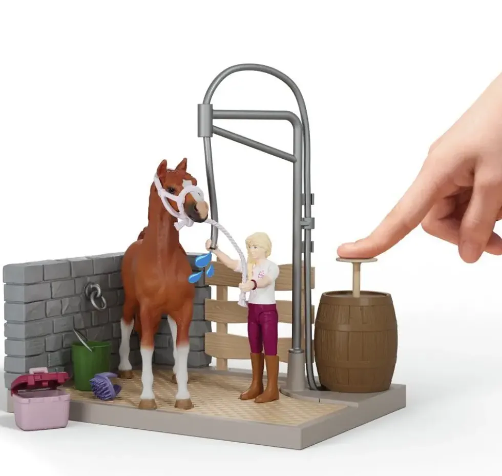 LAVAGE DE CHEVAUX DE SOFIA