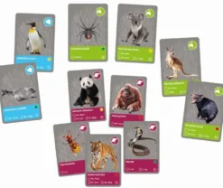 LES ANIMAUX DE LA PLANETE TERRE - REALITE VIRTUELLE
