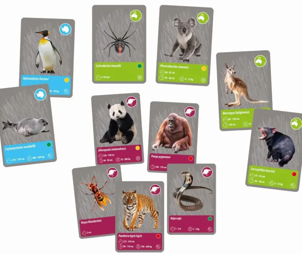 LES ANIMAUX DE LA PLANETE TERRE - REALITE VIRTUELLE