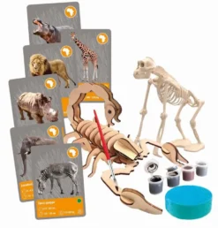 LES ANIMAUX DE LA PLANETE TERRE - REALITE VIRTUELLE