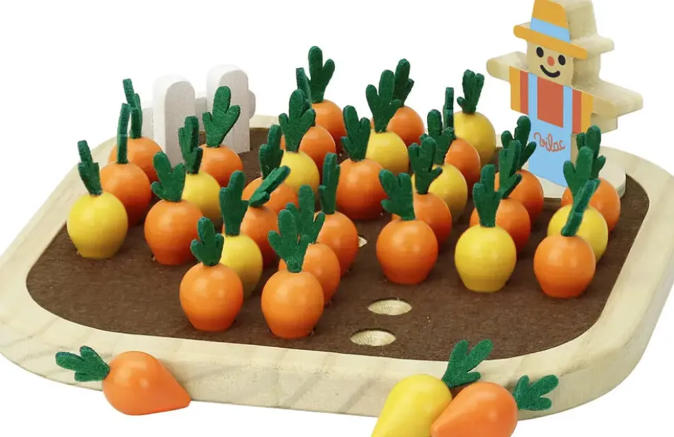 LE SOLITAIRE DU POTAGER EN BOIS - JOUR DE RÉCOLTE