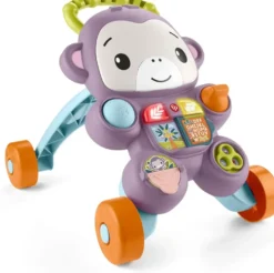 LE TROTTEUR DU SINGE VIOLET