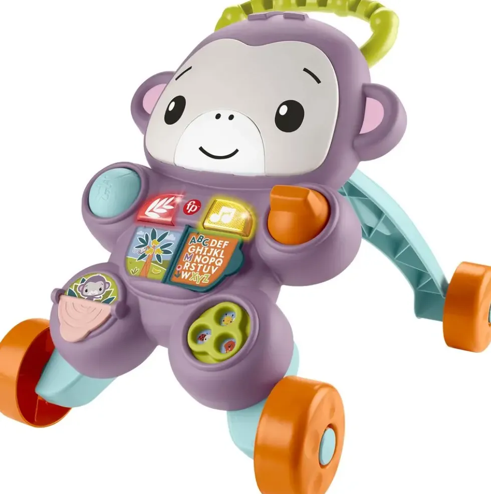 LE TROTTEUR DU SINGE VIOLET