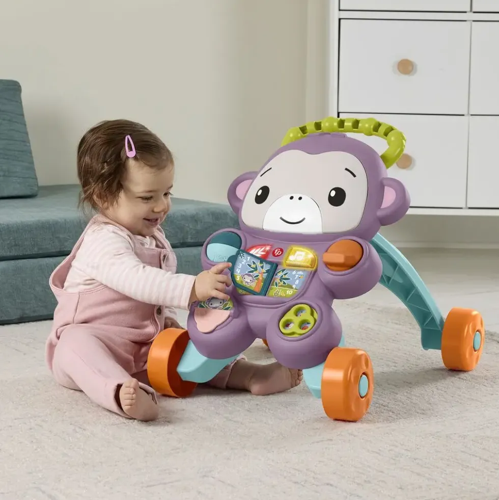 LE TROTTEUR DU SINGE VIOLET