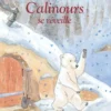 LIVRE CALINOURS SE REVEILLE DE ALAIN BROUTIN ET FREDERIC STEHR