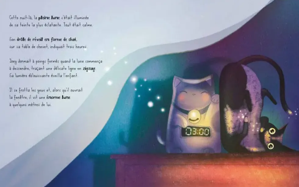 LIVRE -JOEY ET LA LUNE