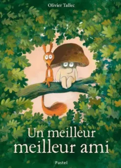 LIVRE UN MEILLEUR MEILLEUR AMI D'OLIVIER TALLEC
