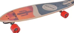 LONGBOARD 32" AWAII DESIGN CACTUS