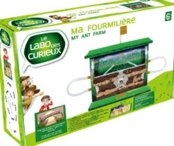 MA FOURMILIERE