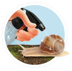 MAISON DES ESCARGOTS