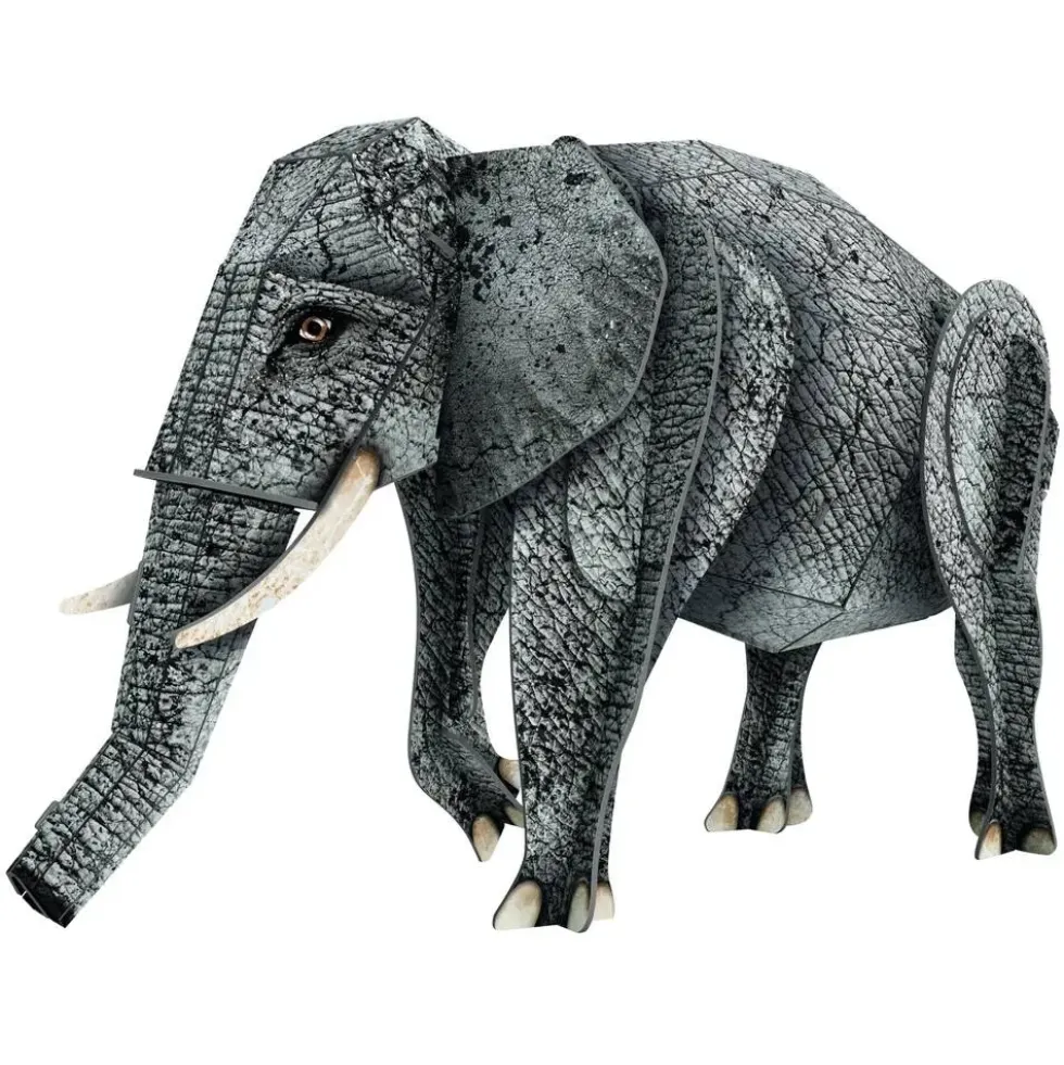 MAQUETTE 3D LA JUNGLE UNE BIODIVERSITE EXTRAORDINAIRE L'ELEPHANT 3D