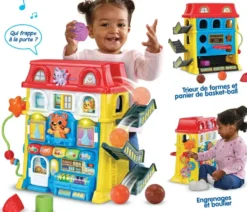 MAXI MAISON MULTI-ACTIVITES
