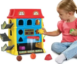 MAXI MAISON MULTI-ACTIVITES