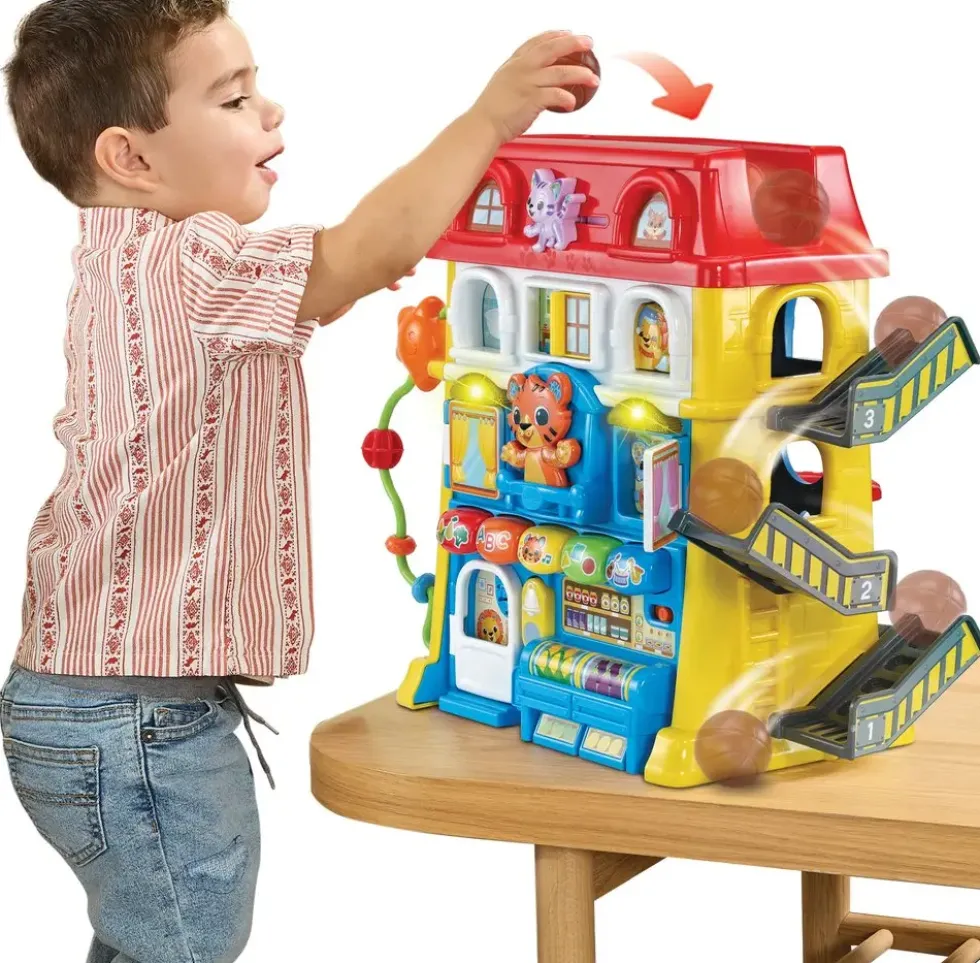 MAXI MAISON MULTI-ACTIVITES