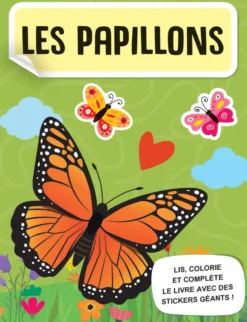 MEGA ARTS ET CRAFTS - LES PAPILLONS