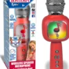 MICRO SANS FIL AVEC HAUT PARLEUR POUR CHANTER EN DUO