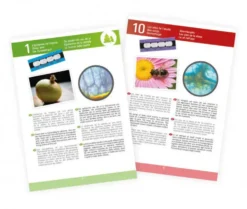MICROSCOPE 15 EXPERIENCES