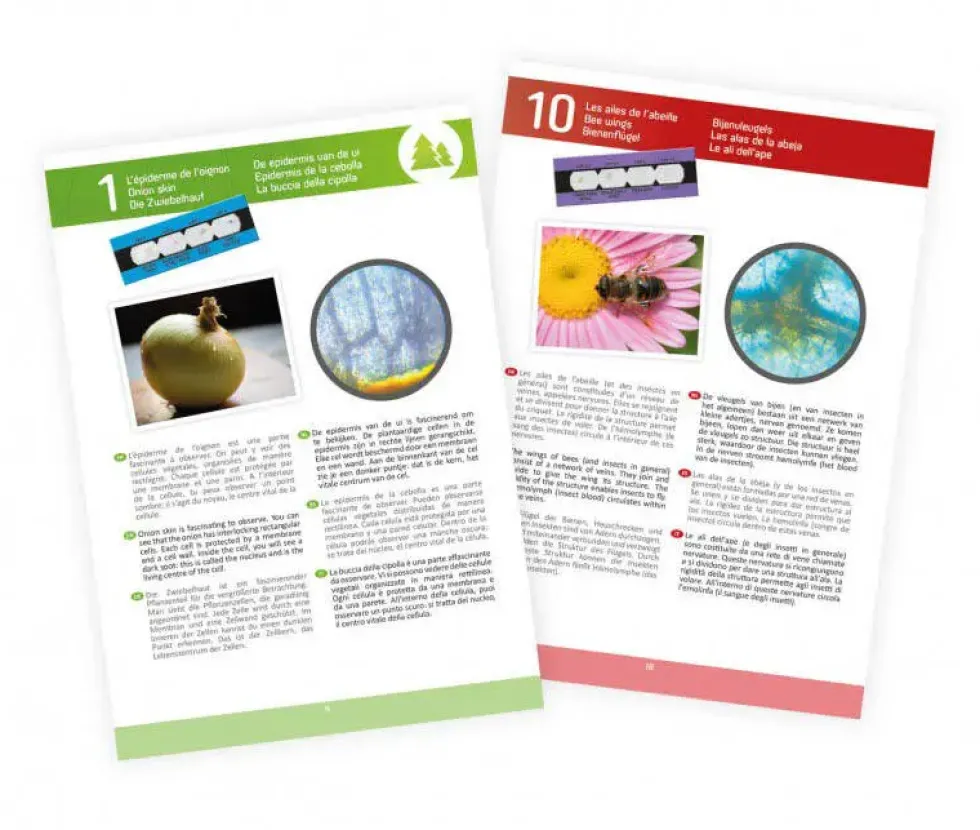 MICROSCOPE 15 EXPERIENCES