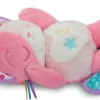 MON CHATON DOUCE NUIT ROSE
