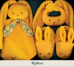 MON PREMIER COFFRET NAISSANCE OCRE