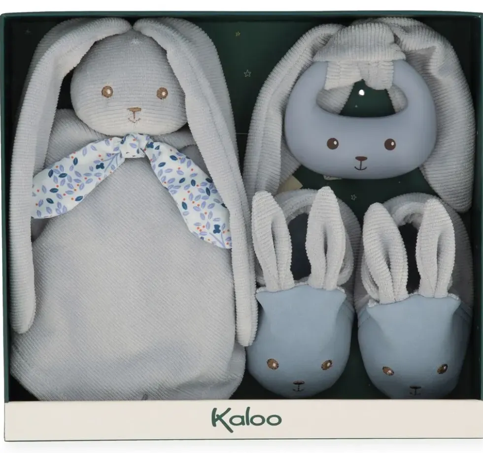MON PREMIER COFFRET NAISSANCE BLEU