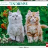 NATHAN PUZZLE 2000 PIECES - CHATONS SIBERIENS