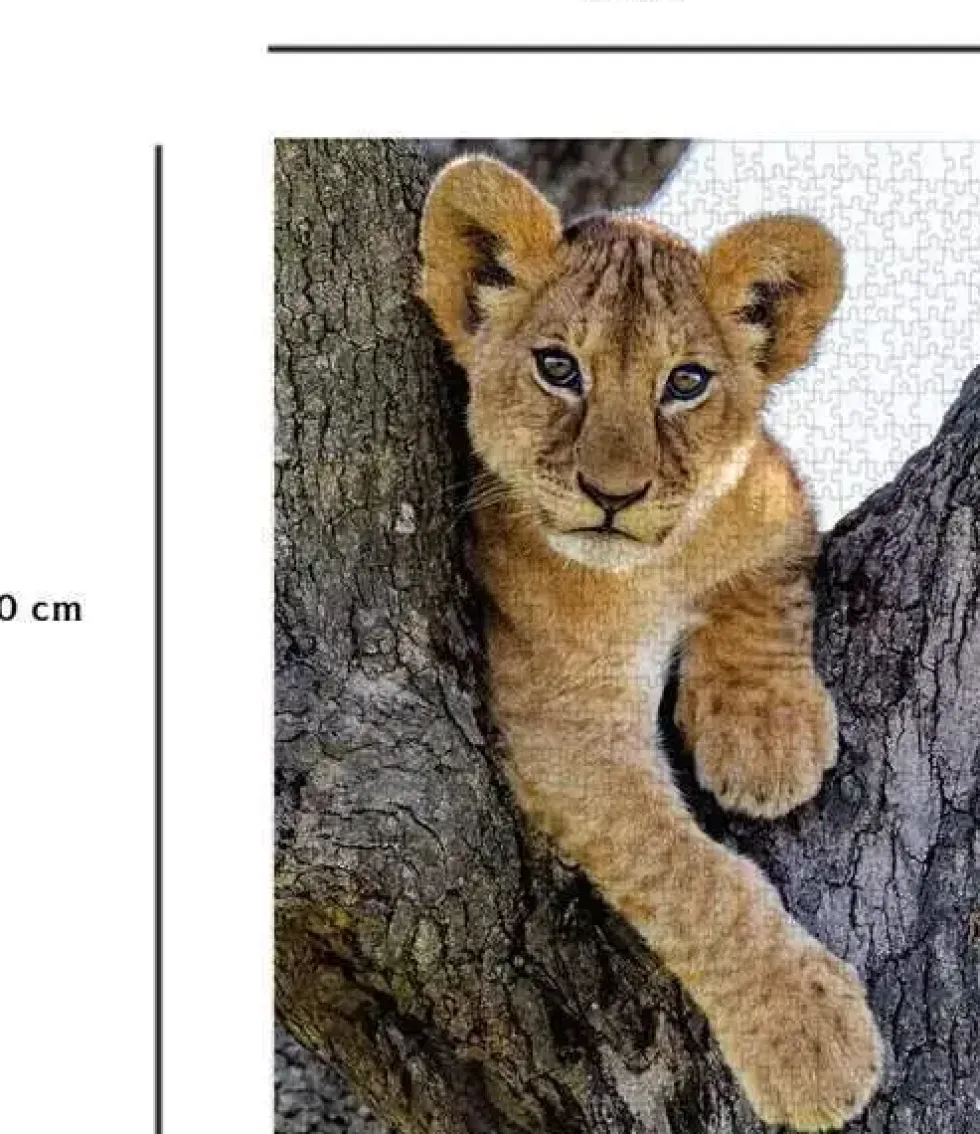 NATHAN PUZZLE 1000 PIECES - LIONCEAU DU DESERT