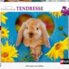 NATHAN PUZZLE 500 PIECES - PETIT LAPIN NAIN BELIER