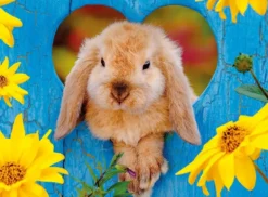 NATHAN PUZZLE 500 PIECES - PETIT LAPIN NAIN BELIER