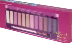 PALETTE DE MAQUILLAGE ESSENTIALS HOLLYWOOD DREAMS