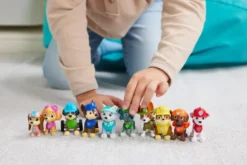 PAT' PATROUILLE - MULTIPACK FIGURINES 10E ANNIVERSAIRE
