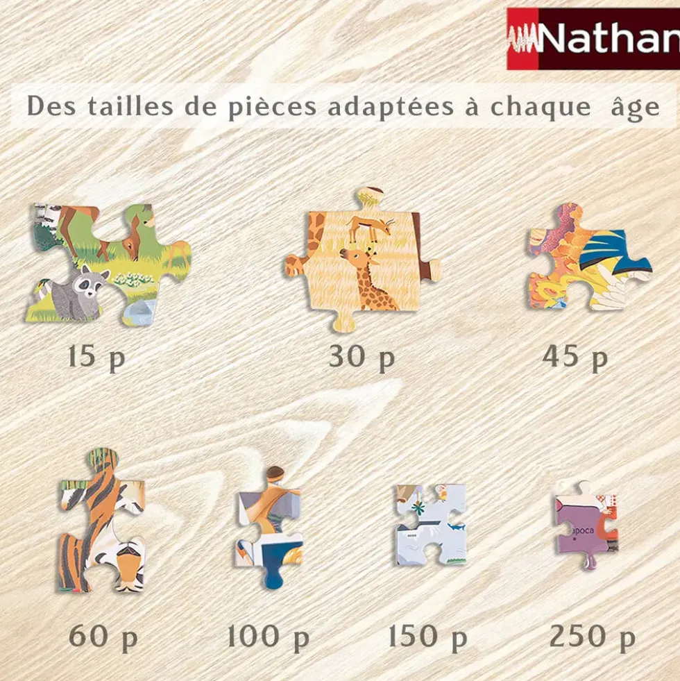PAT'PATROUILLE - PUZZLE COLOREE 60 PIECES