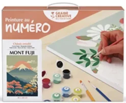 PEINTURE AU NUMERO 30 X 40 MONT FUJI