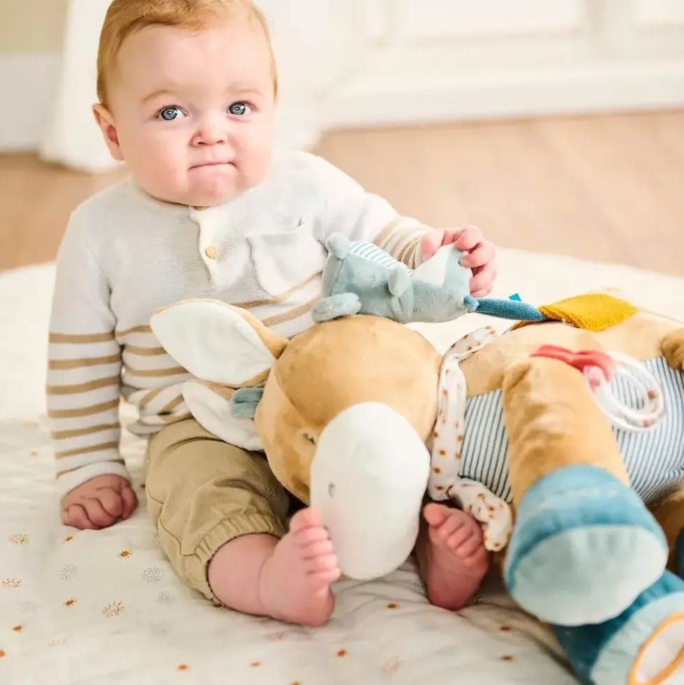 PELUCHE ANE LEO D'ACTIVITES