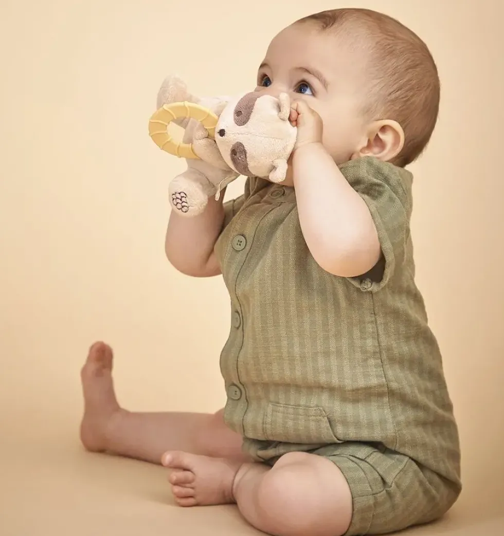 PELUCHE ANNEAU DENTITON RATON LAVEUR