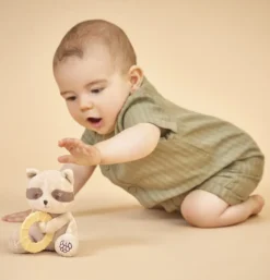 PELUCHE ANNEAU DENTITON RATON LAVEUR