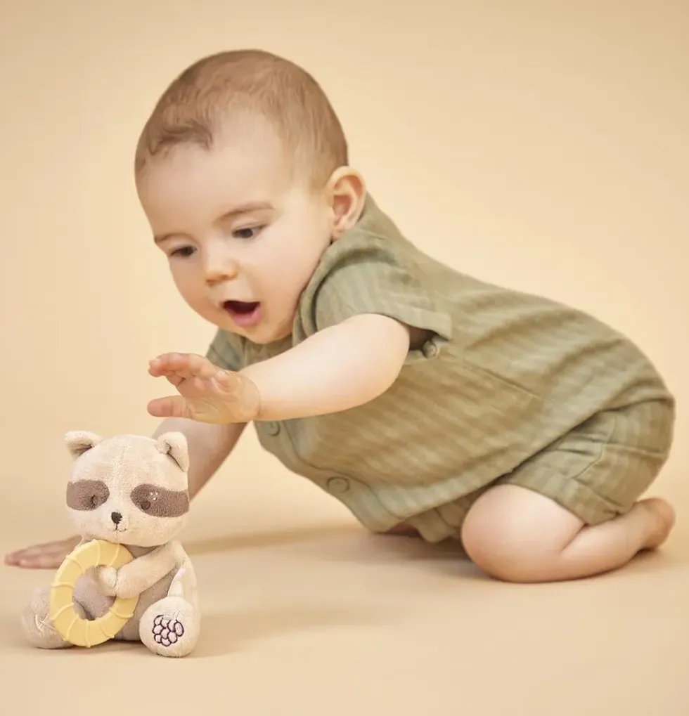 PELUCHE ANNEAU DENTITON RATON LAVEUR