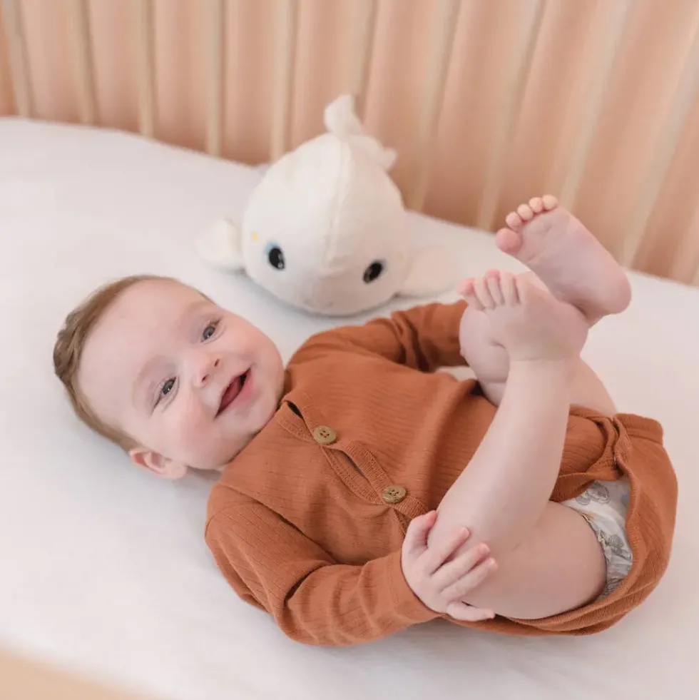 PELUCHE VEILLEUSE MUSICALE BELUGA